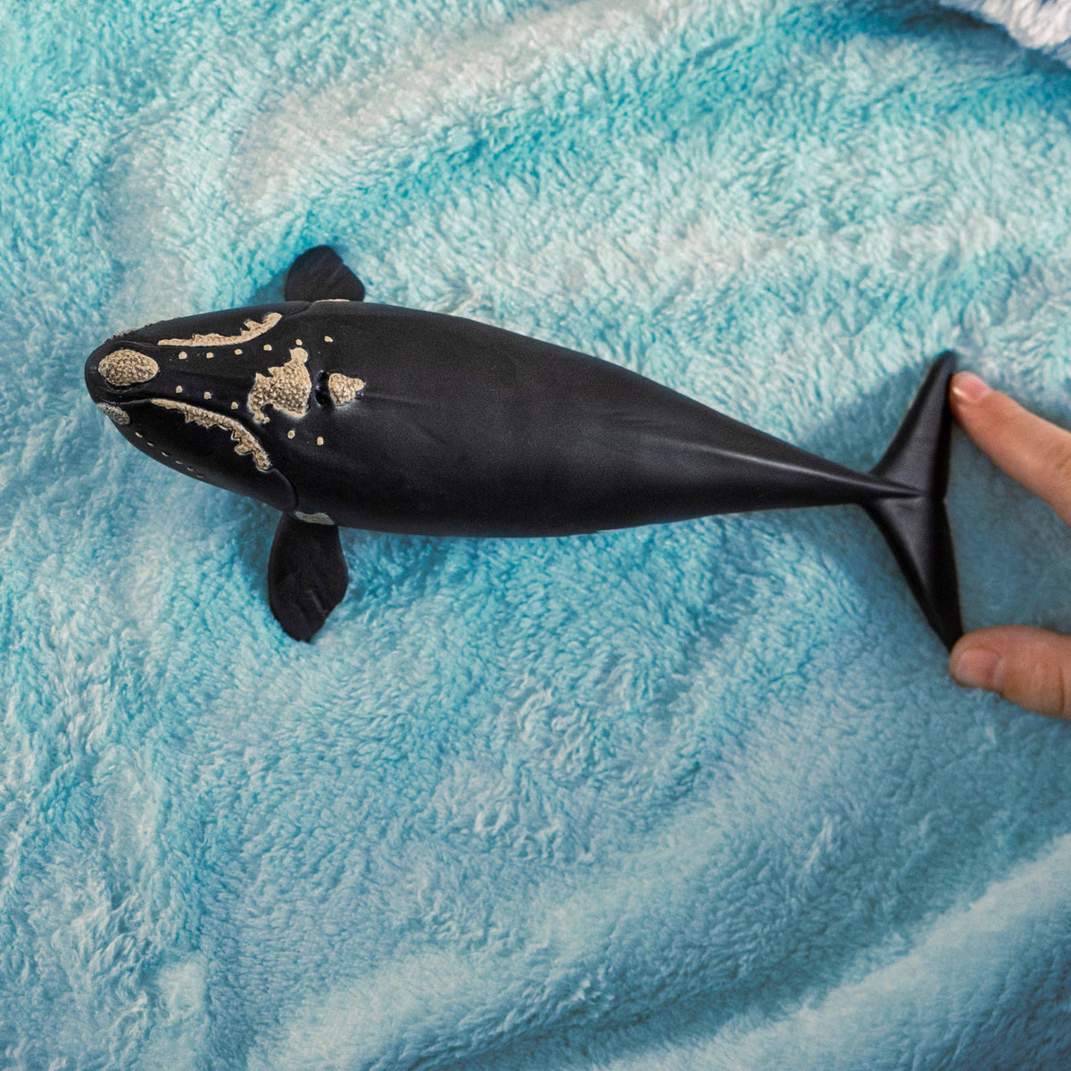 Black and white toy whale on a blue textured surface with a hand reaching towards it