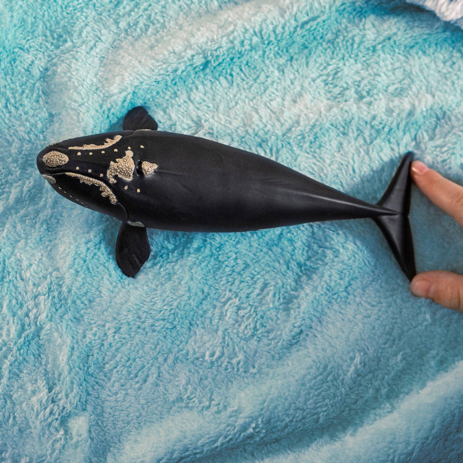 Black and white whale model on a white background