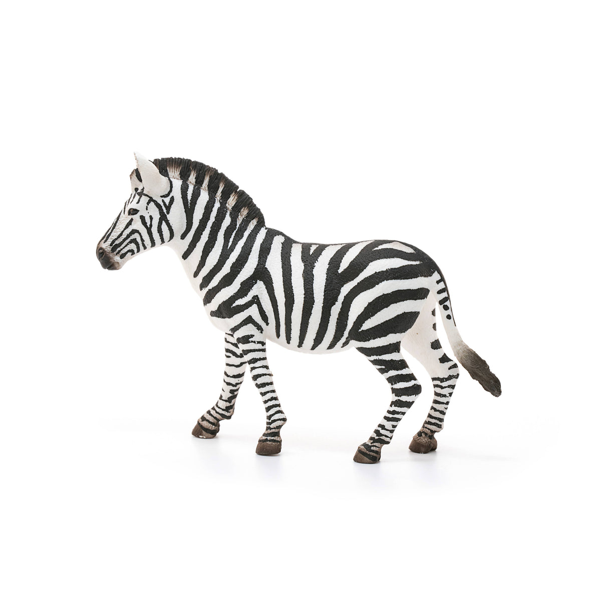 Zebra figurine on a white background