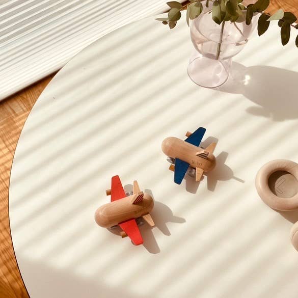 Two wooden airplane toys on a light surface with a plant in the background