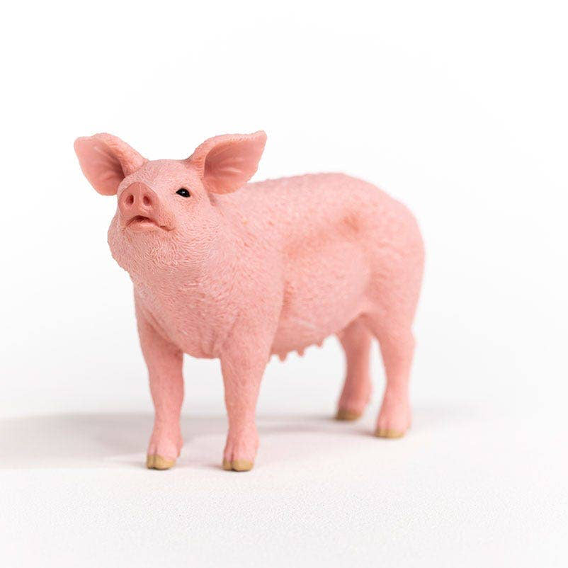 Pink pig figurine on a white background