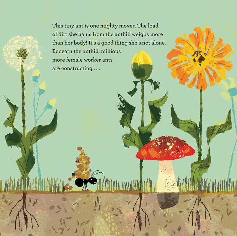 Illustration of a garden with flowers, mushrooms, and underground creatures on a light green background.