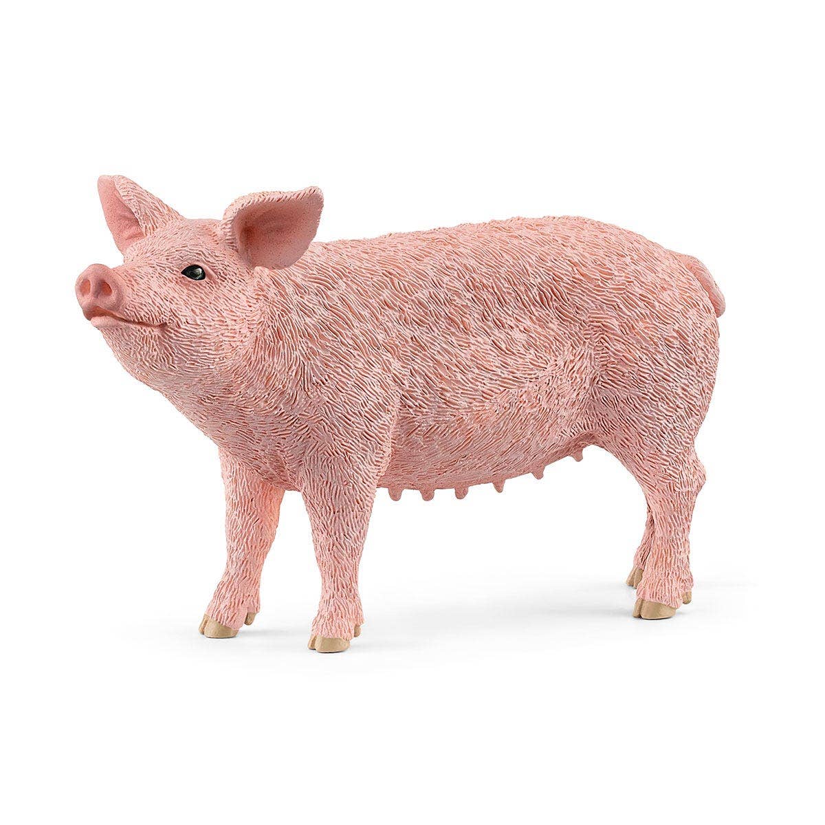 Pink pig figurine on a white background