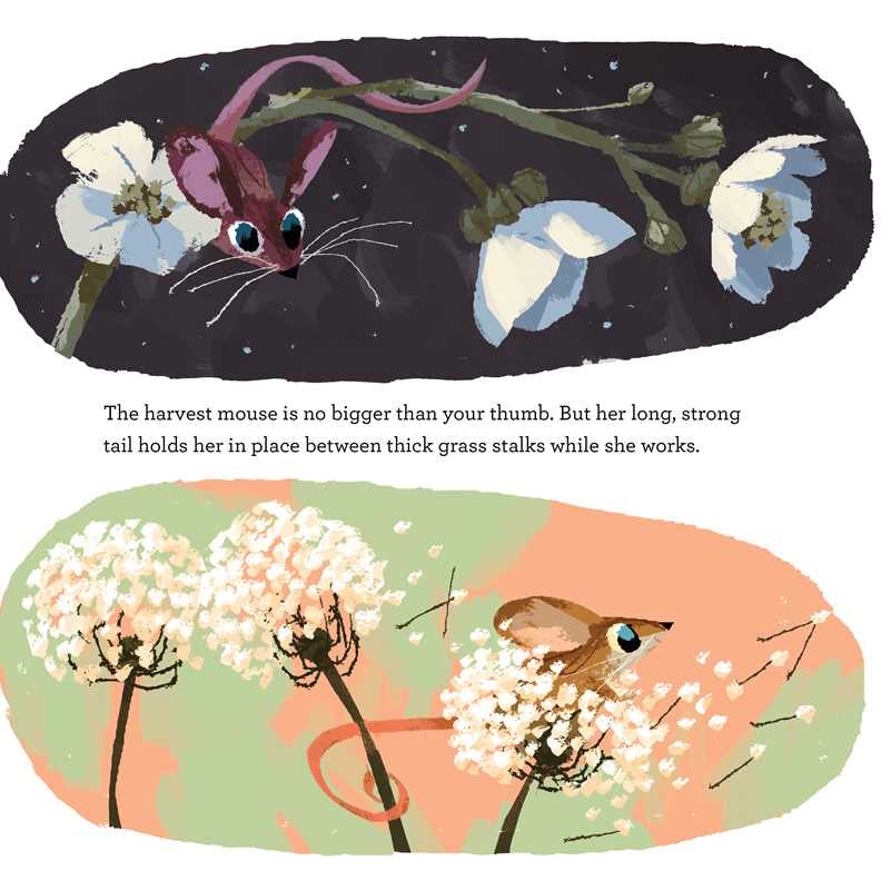 Illustrated book page with a mouse and flowers on one side and a mouse among wheat on the other, set against a light green background.