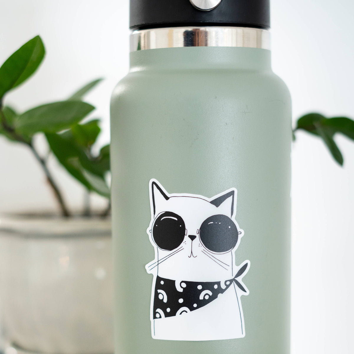 A matte sage green insulated water bottle with a black lid and a cartoon cat sticker wearing black sunglasses and a black-and-white bandana, shown on a tabletop with a blurred plant in the background.