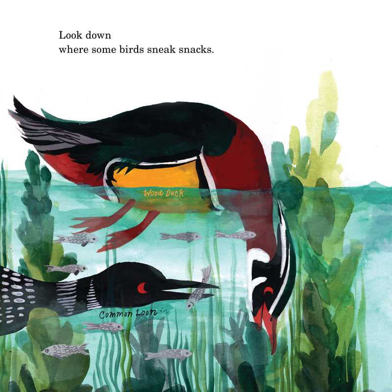 Illustrated book page with birds and underwater scene