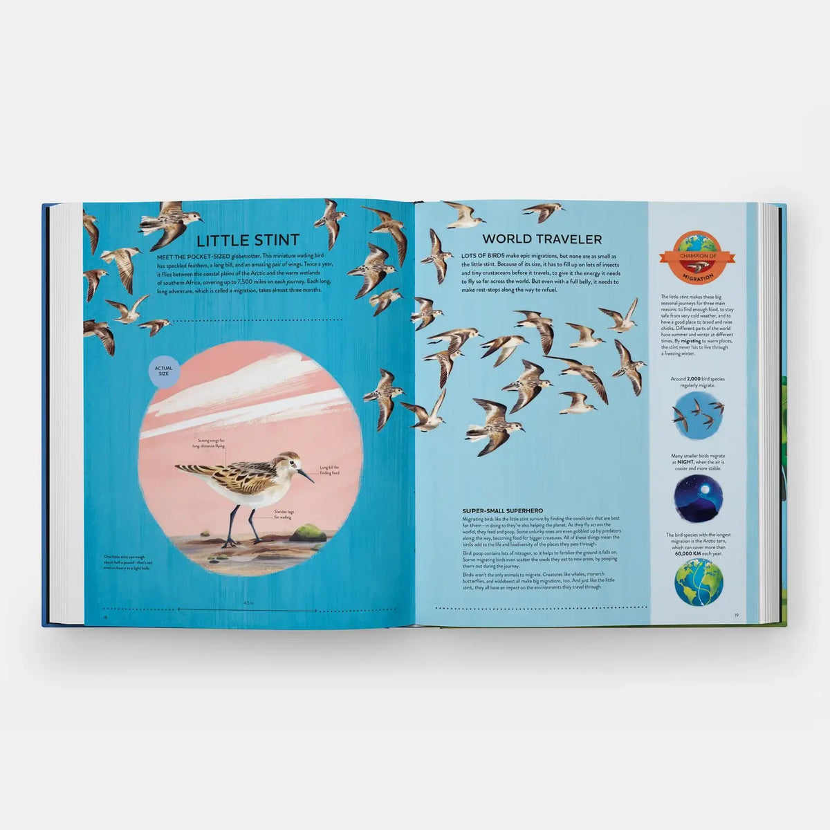 Open book showing illustrations of birds and text on a white background