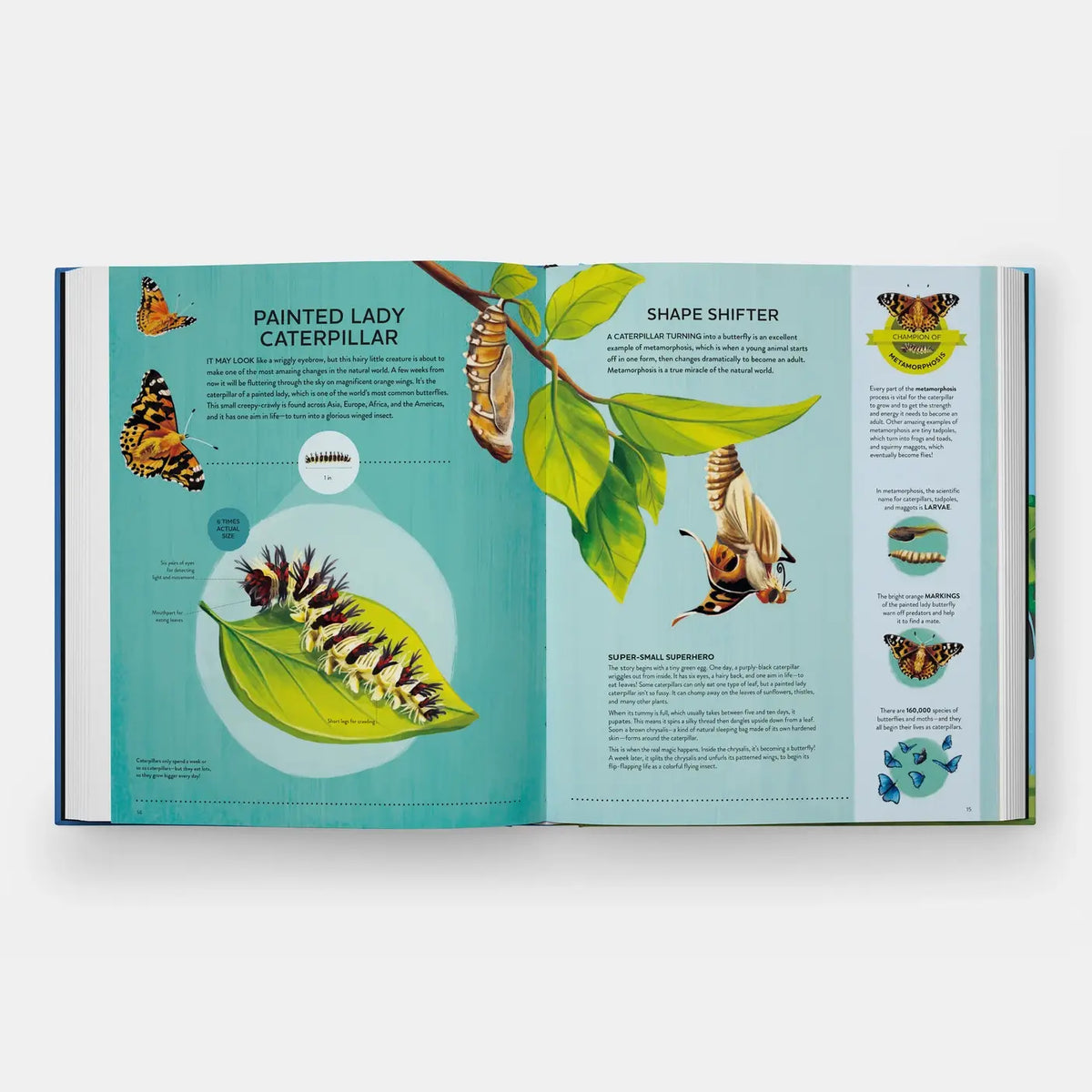 Open book showing illustrations of a Painted Lady Caterpillar and Shape Shifter on a white background