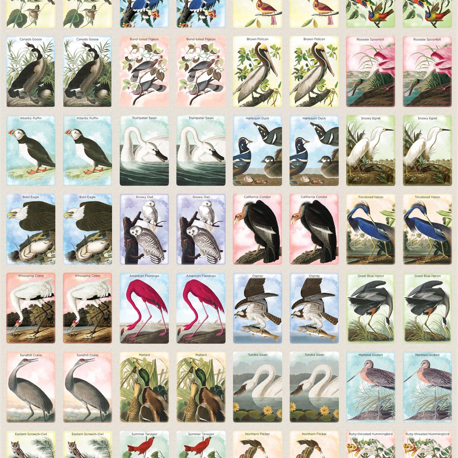 Audubon Memory Game packaging with illustrations of various birds.