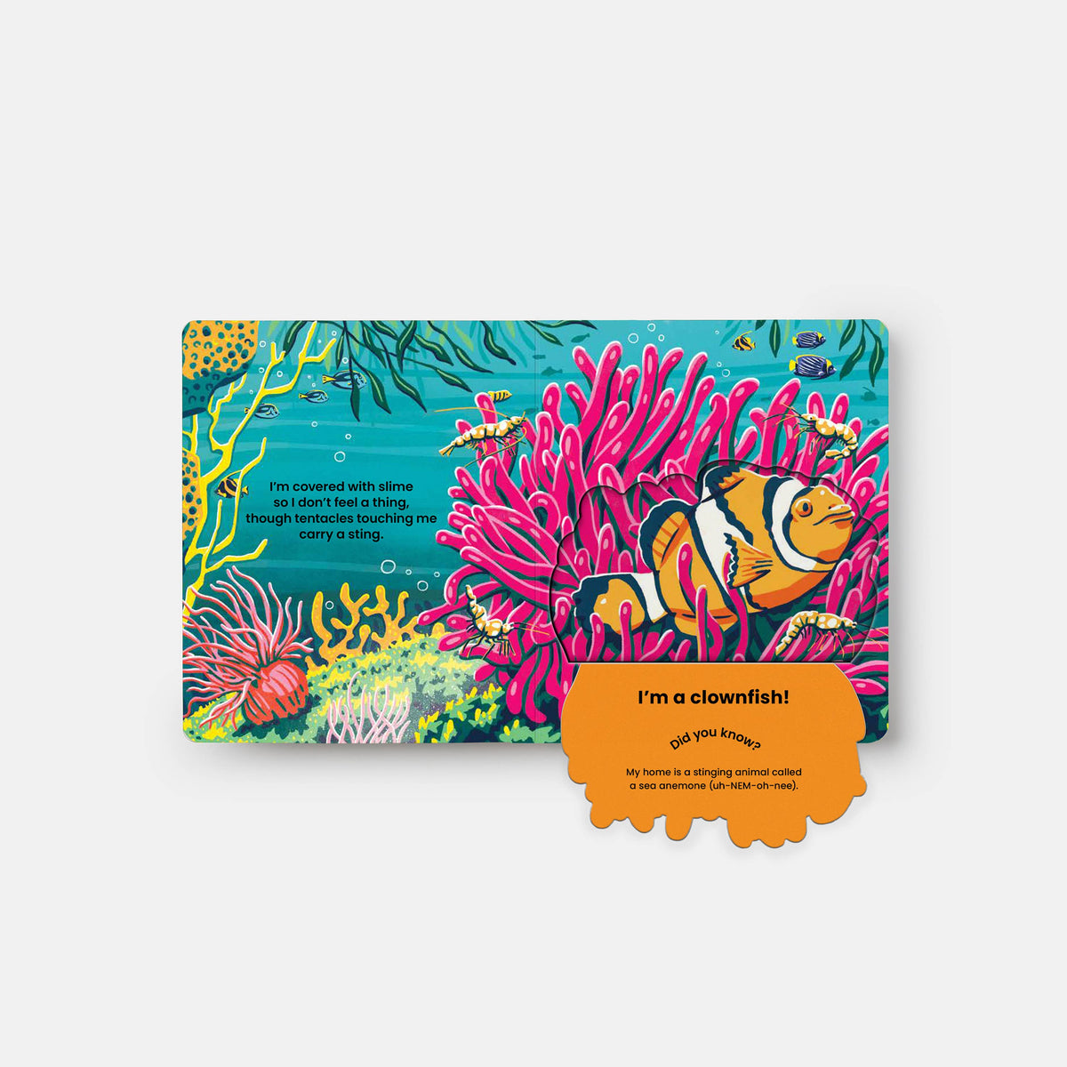 Children's book with a colorful underwater scene featuring a clownfish.