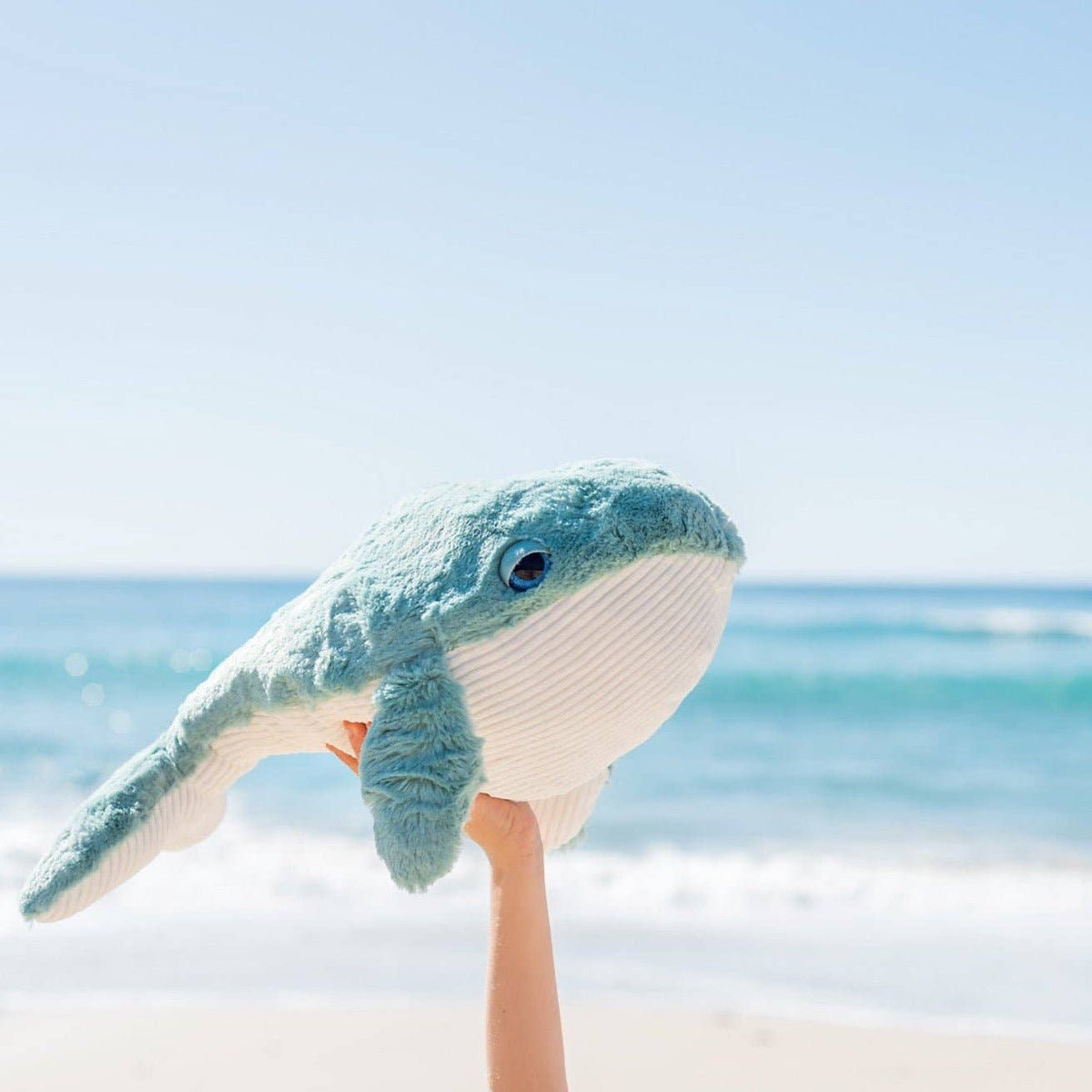 Plush whale toy held by a person on a beach with ocean in the background