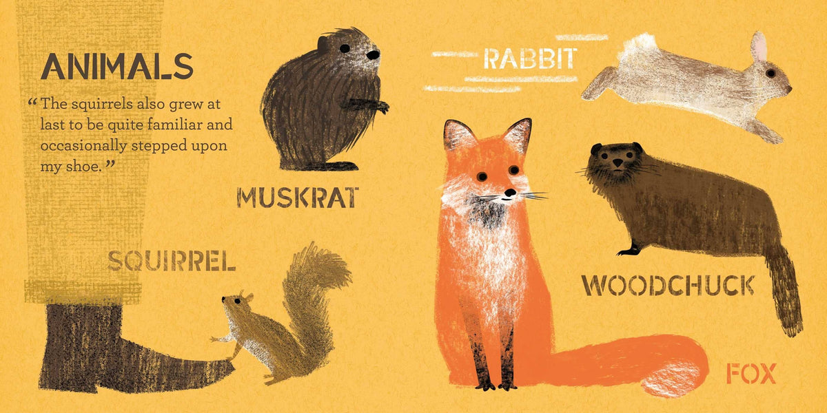 Walden A Nature Primer