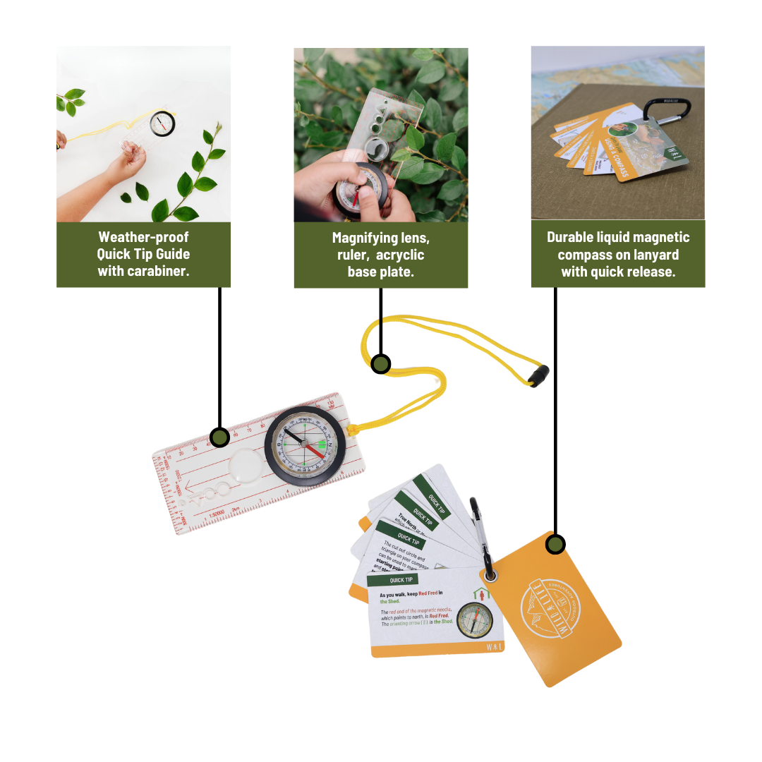 Set of outdoor tools including a compass, magnifying lens, and guidebook on a white background.