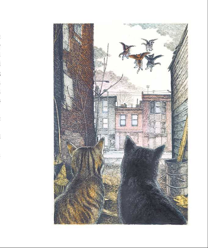 Page from a book with text and illustrations of cats