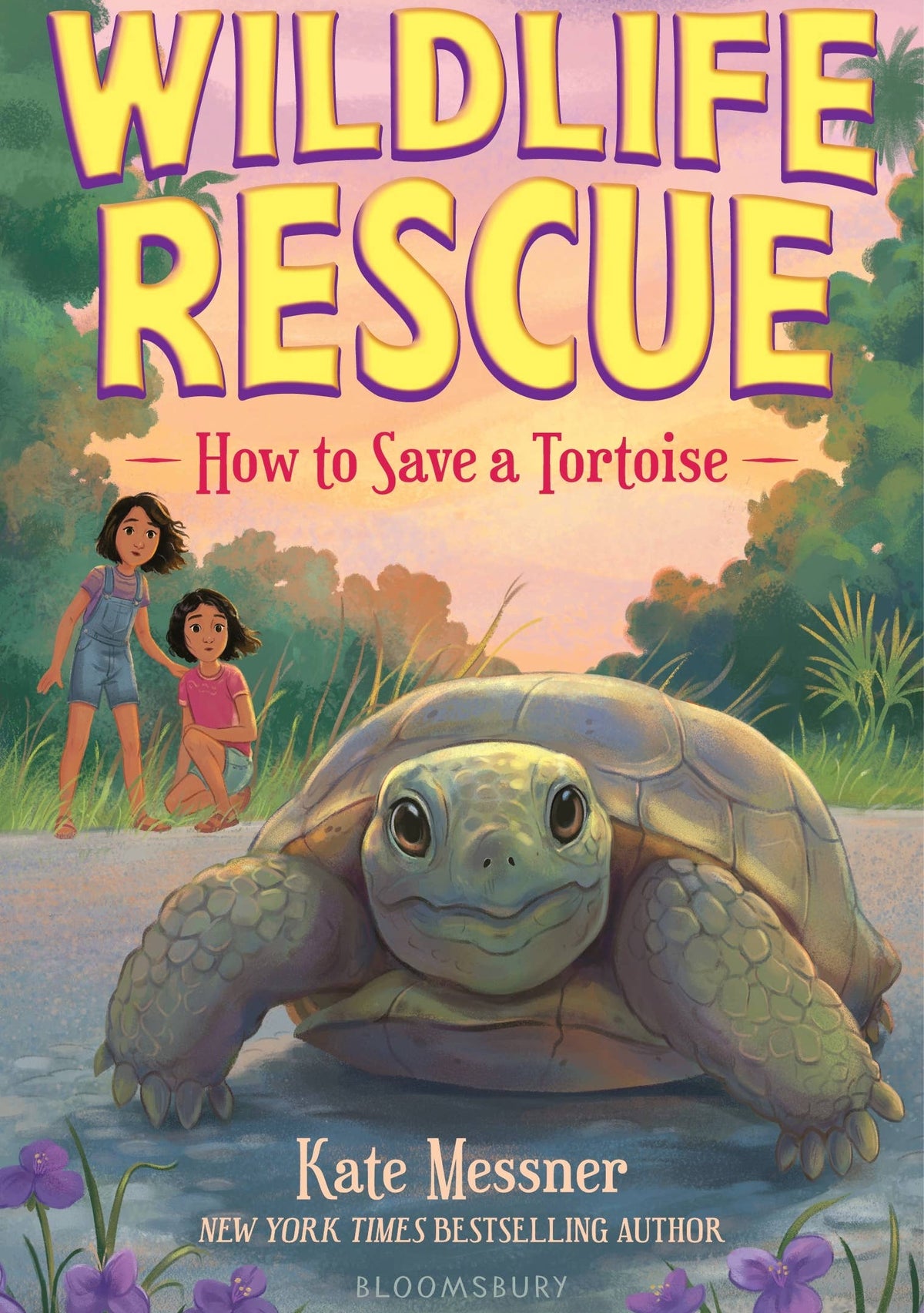 Wildlife Rescue: How to Save a Tortoise