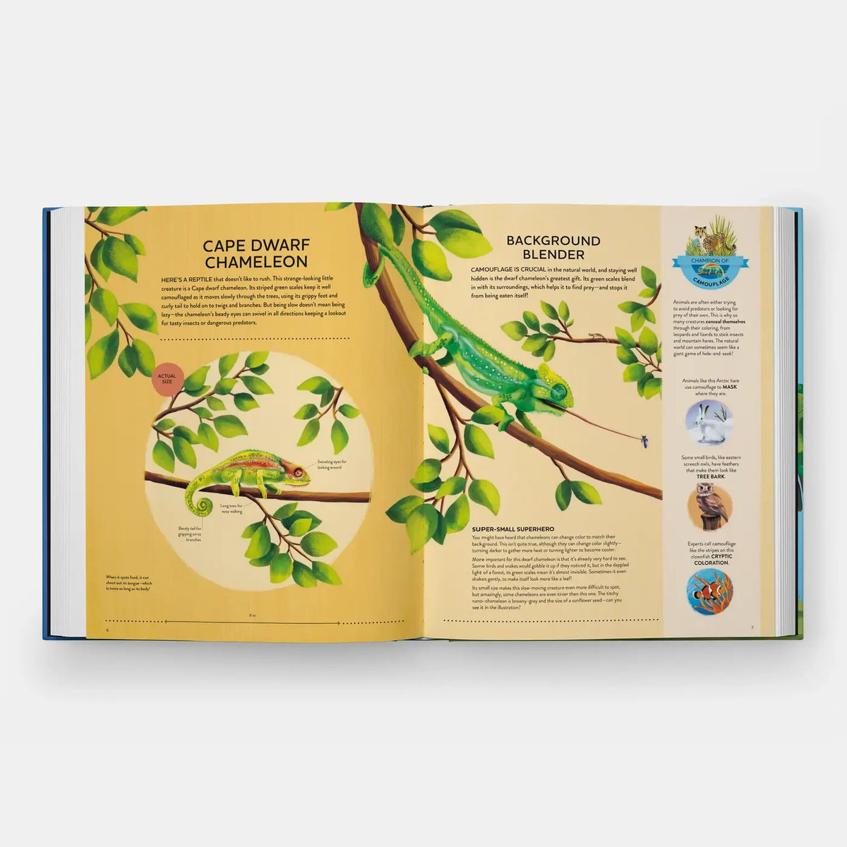 Open book showing a page about Cape Dwarf Chameleons with illustrations and text.