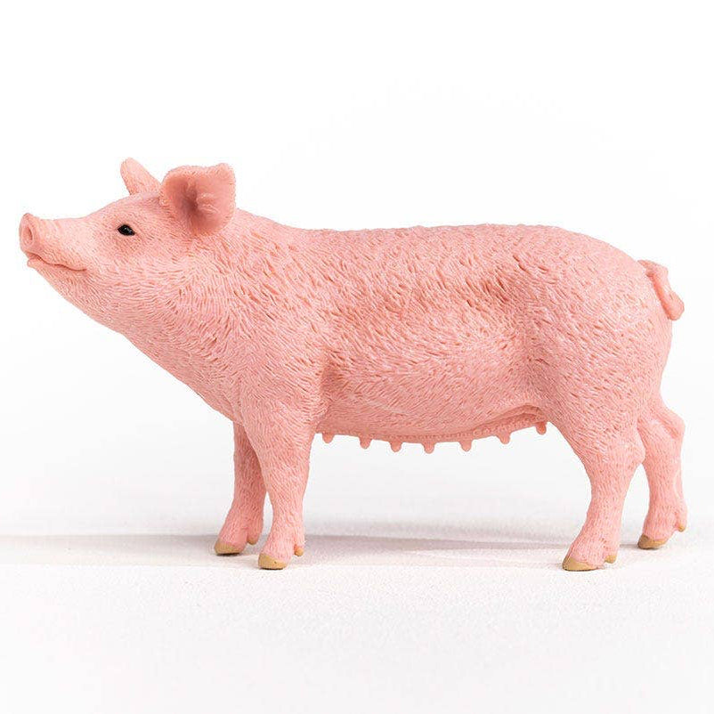 Pink pig figurine on a white background