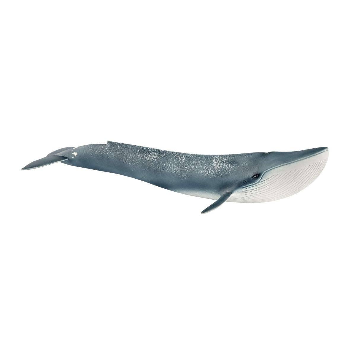 Blue whale figure on a white background
