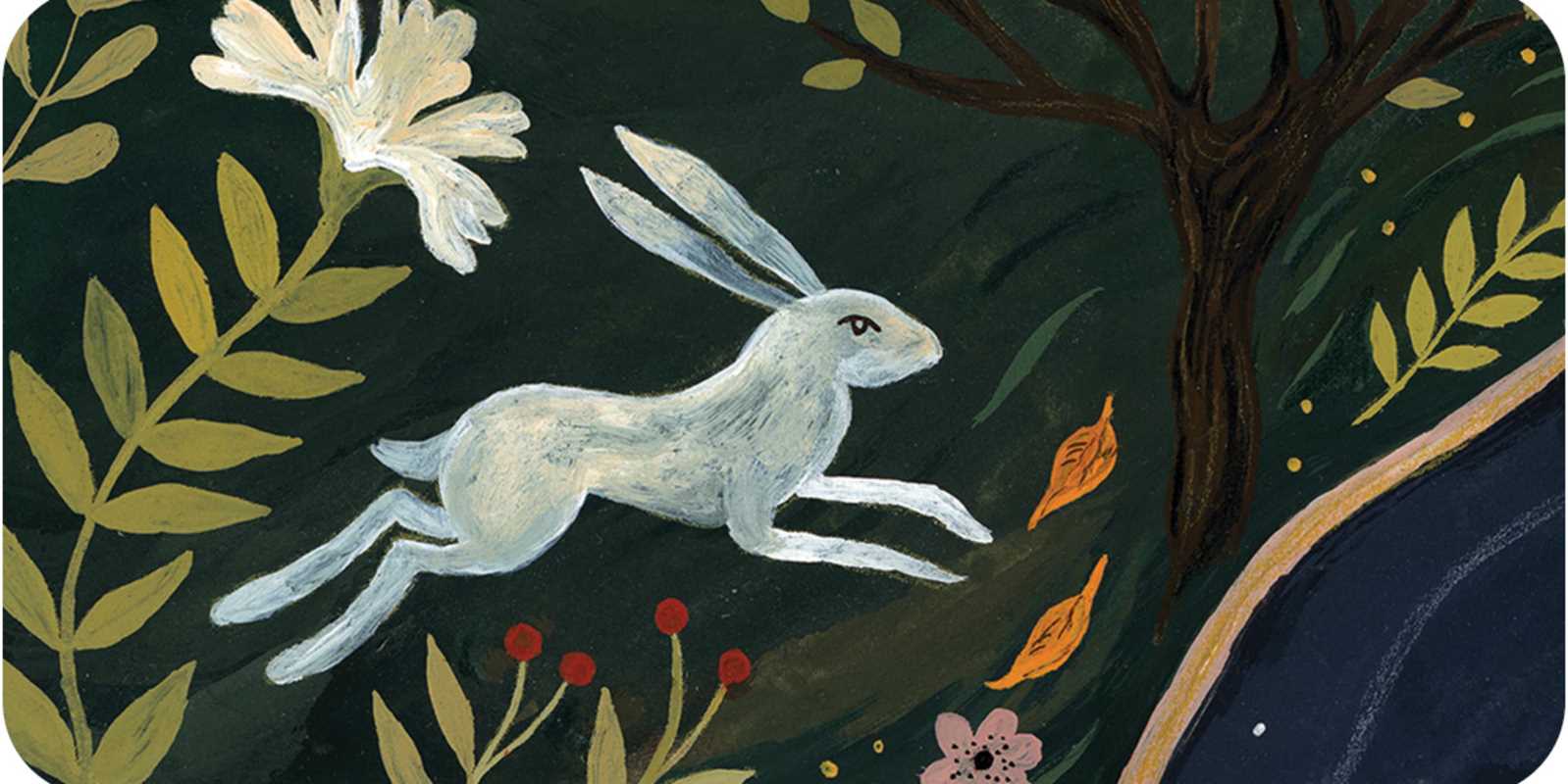 Card  packaging with illustrations of animals and text on a white background