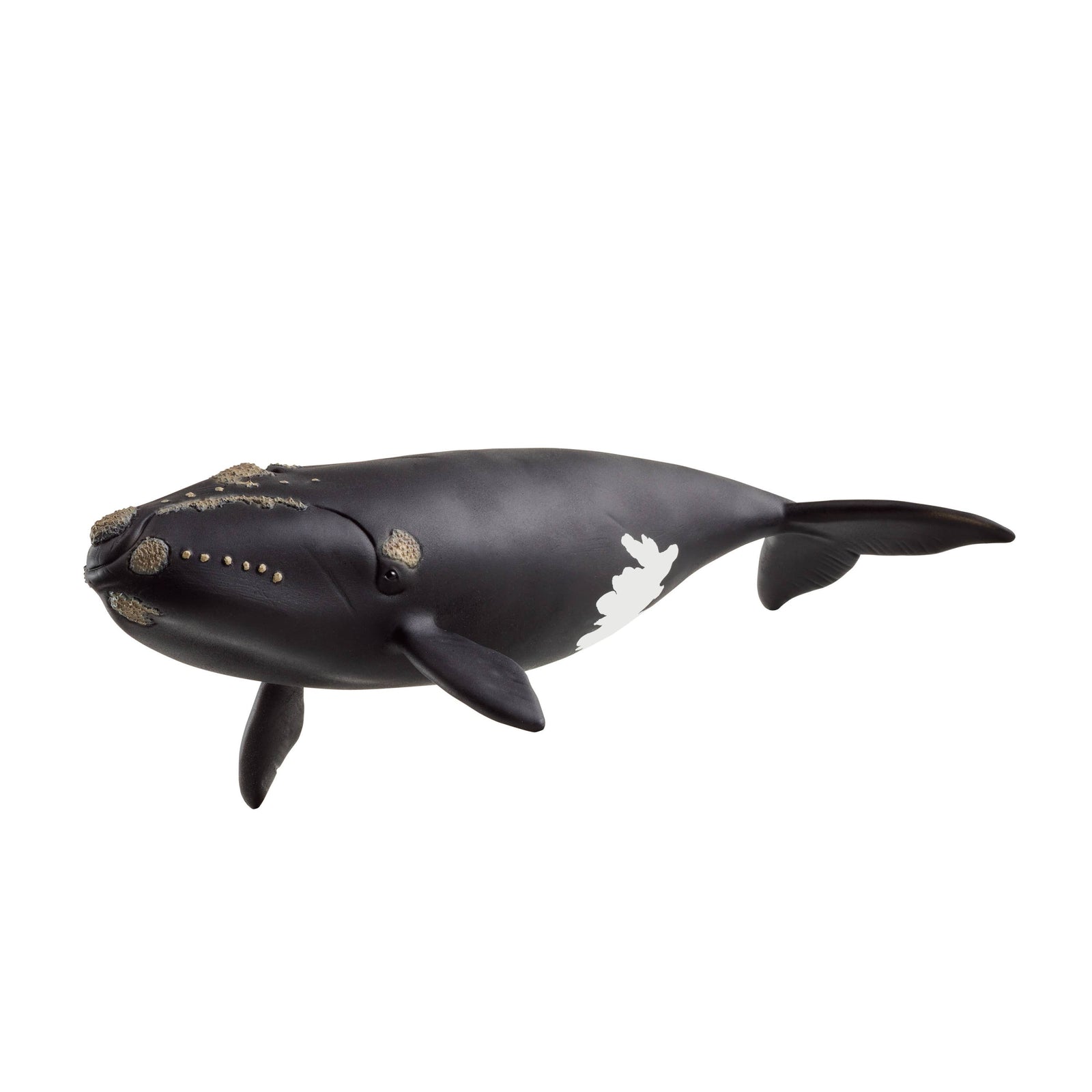 Black and white whale model on a white background
