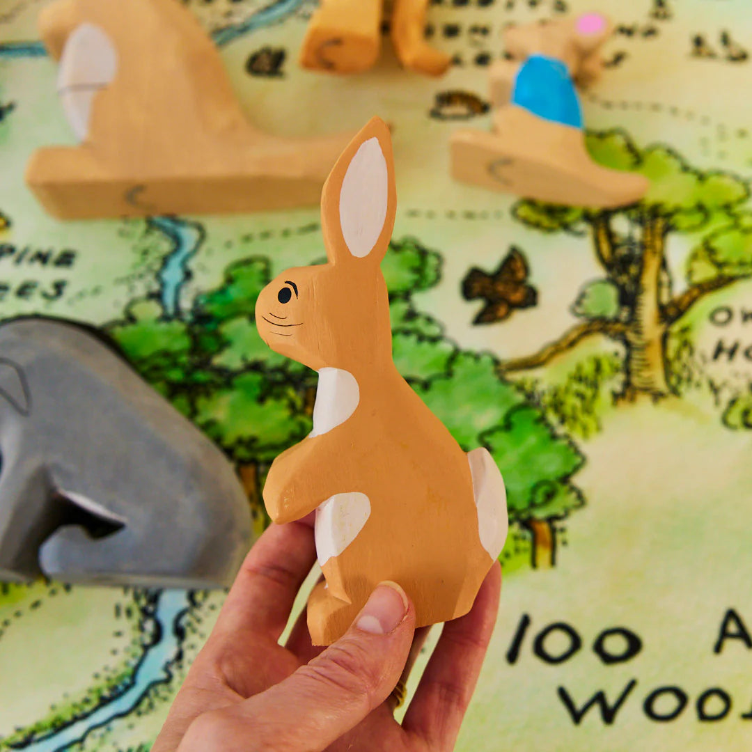 Hand holding a wooden rabbit  in front of a children's map.