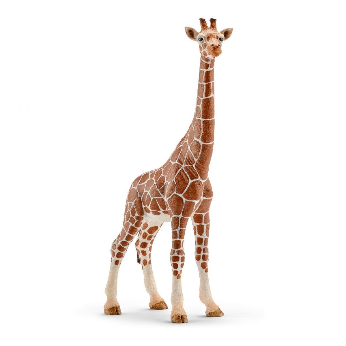 Giraffe figurine on a white background
