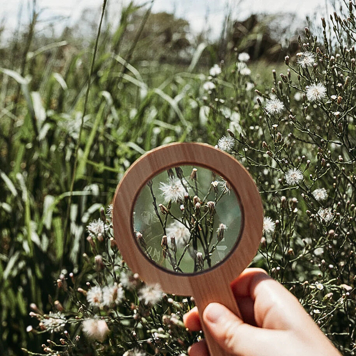 Hand holding a wooden magnifying glass over a field of wildflowers
