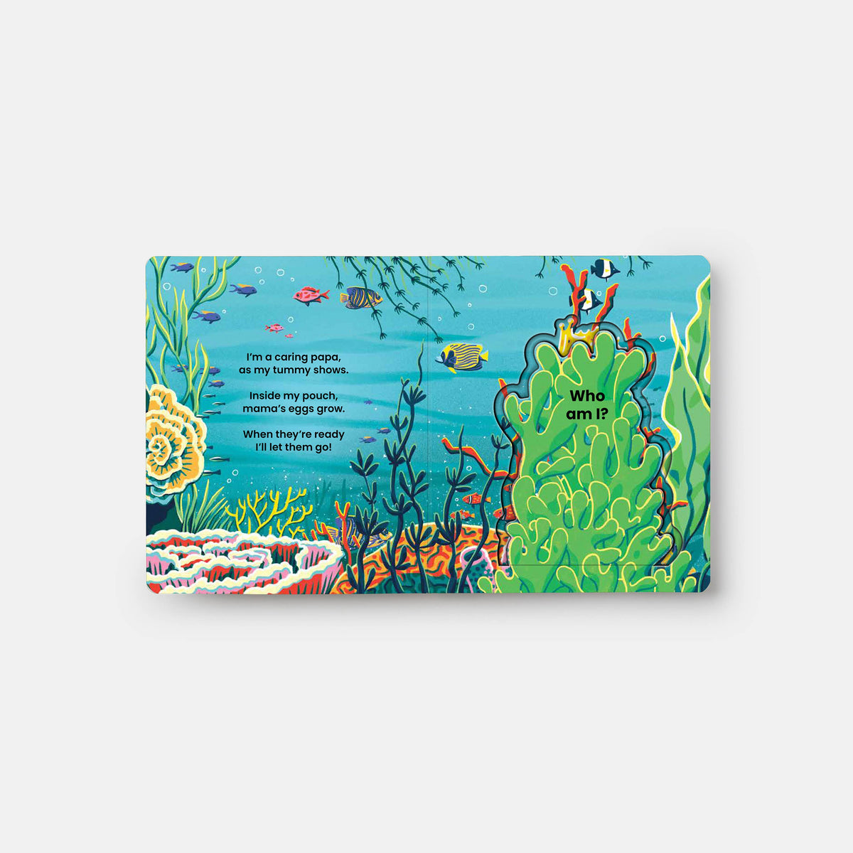 Colorful children's book with an underwater scene on a white background