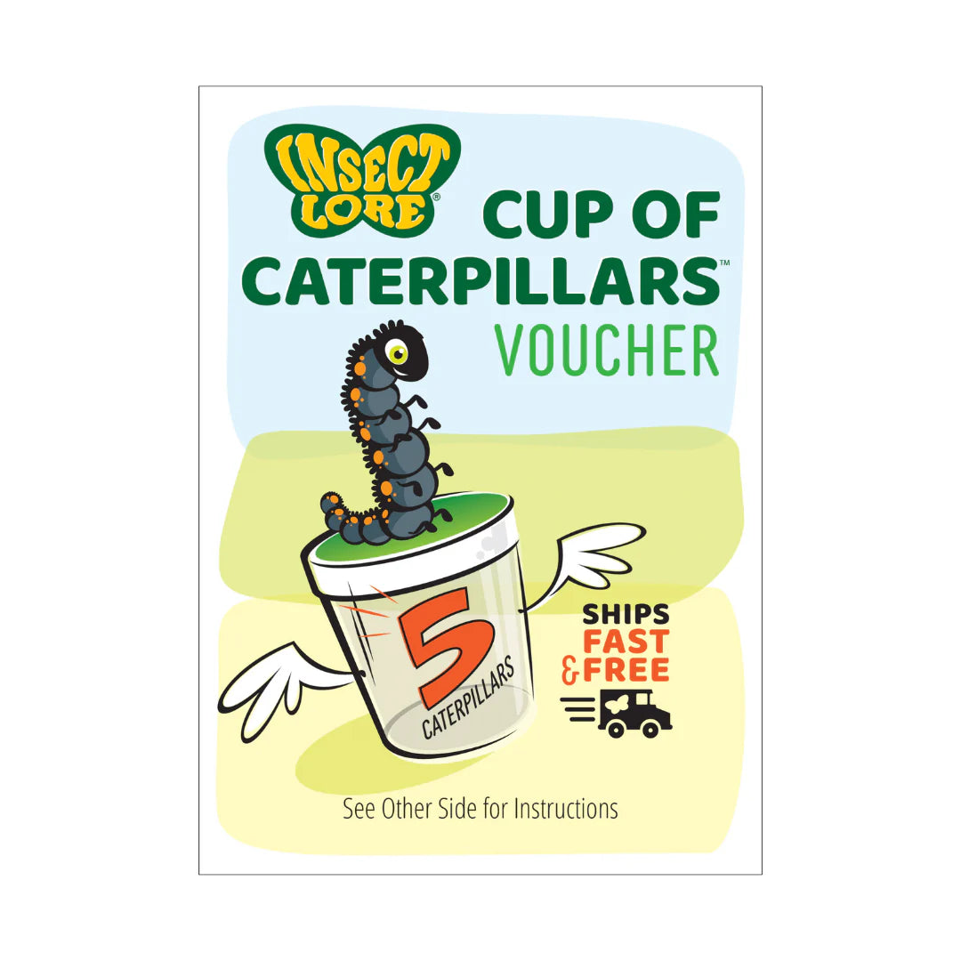 Insect Lore cup of caterpillars voucher with cartoon caterpillar and cup on a white background