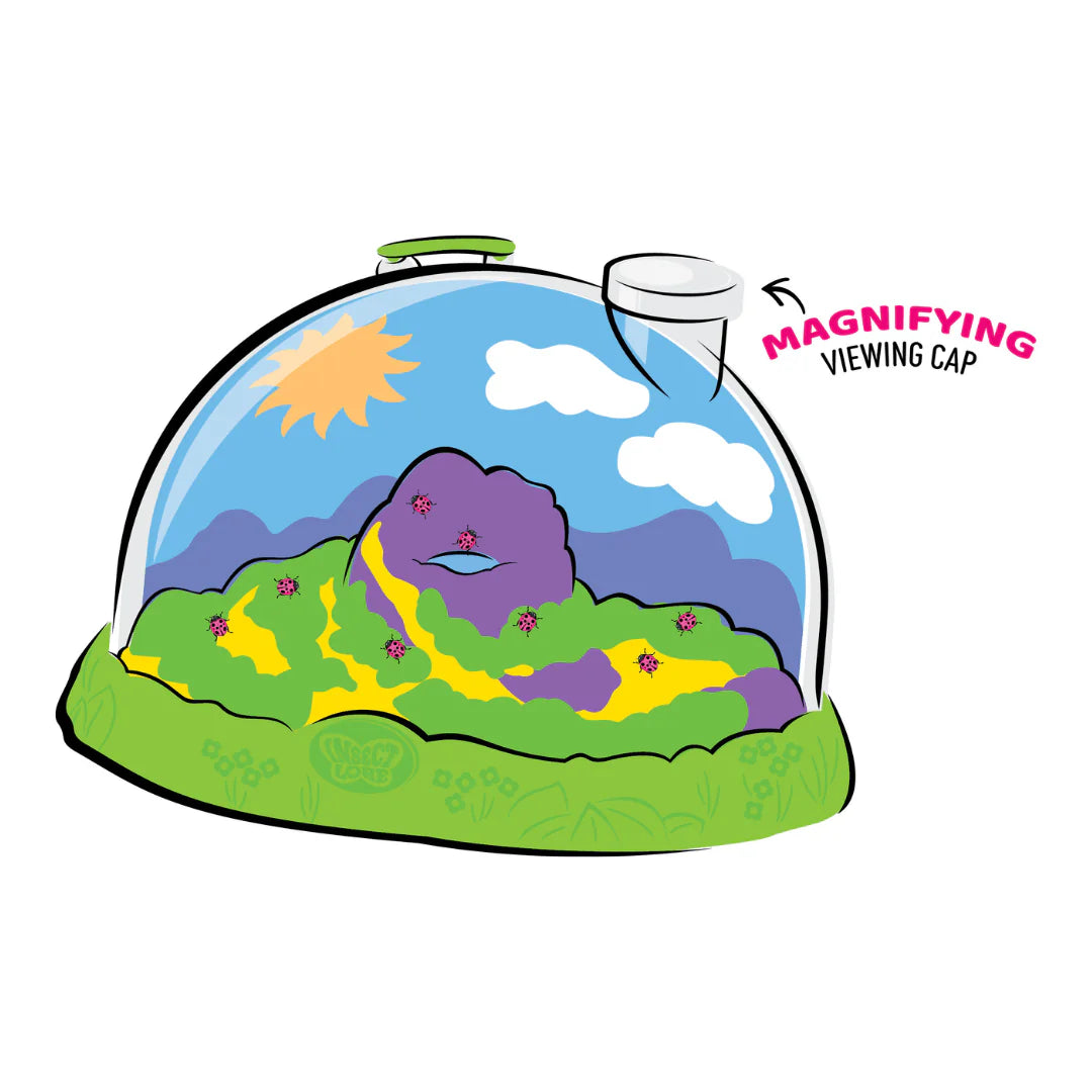Landbug Land