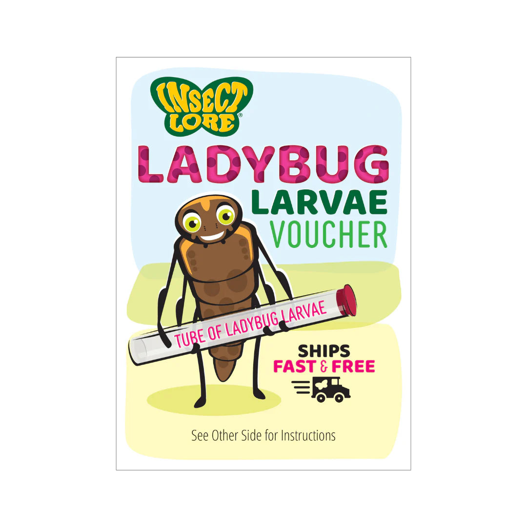 Landbug Land