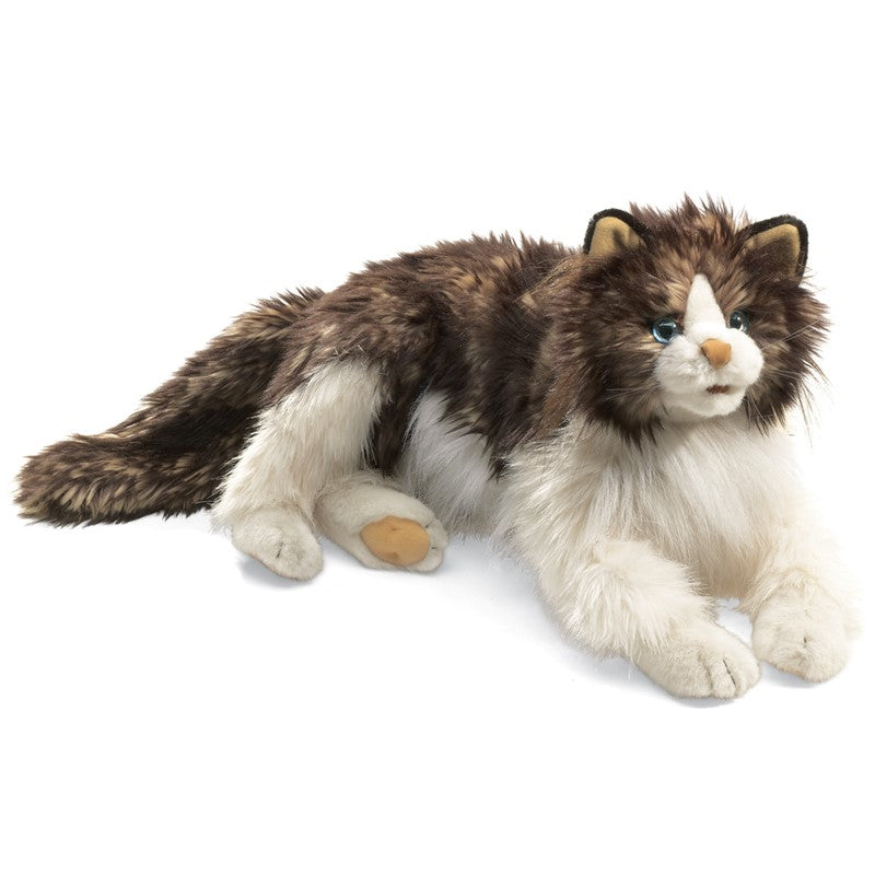 Plush toy cat with brown and white fur on a white background