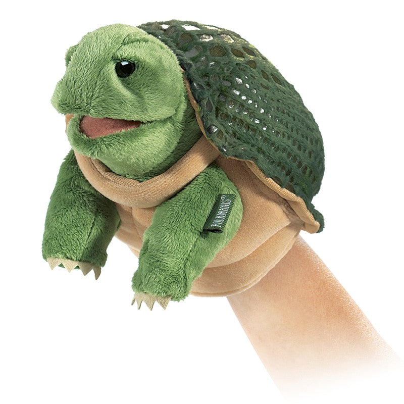 Child holding a green turtle puppet against a white background