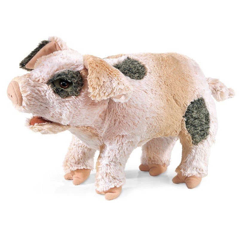 Plush toy pig with black spots on a white background