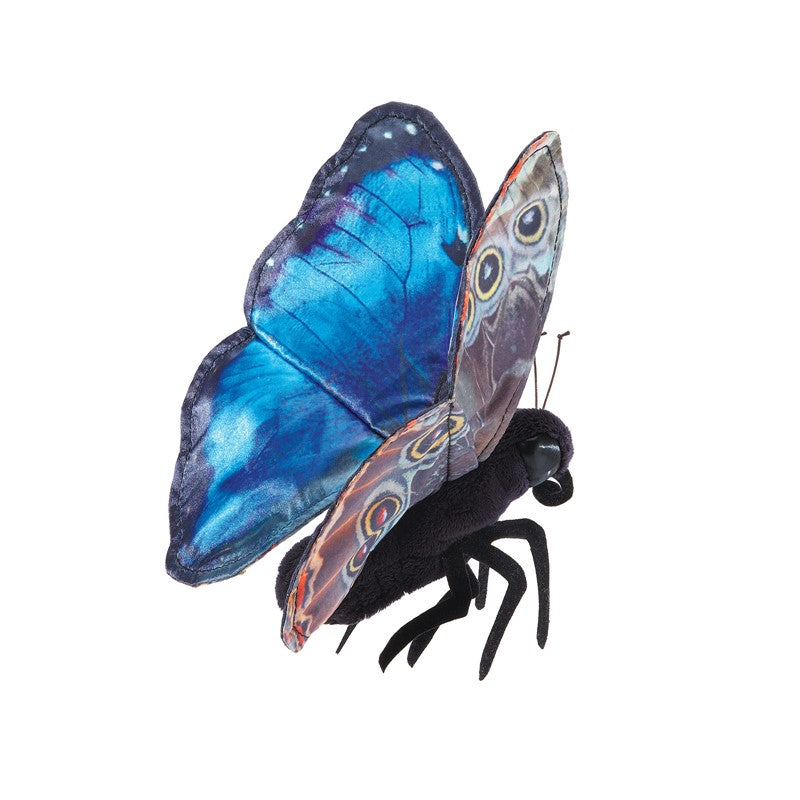 Blue Morpho Butterfly