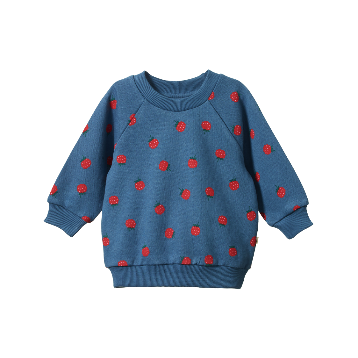 Blue sweatshirt with red berry pattern on a white background
