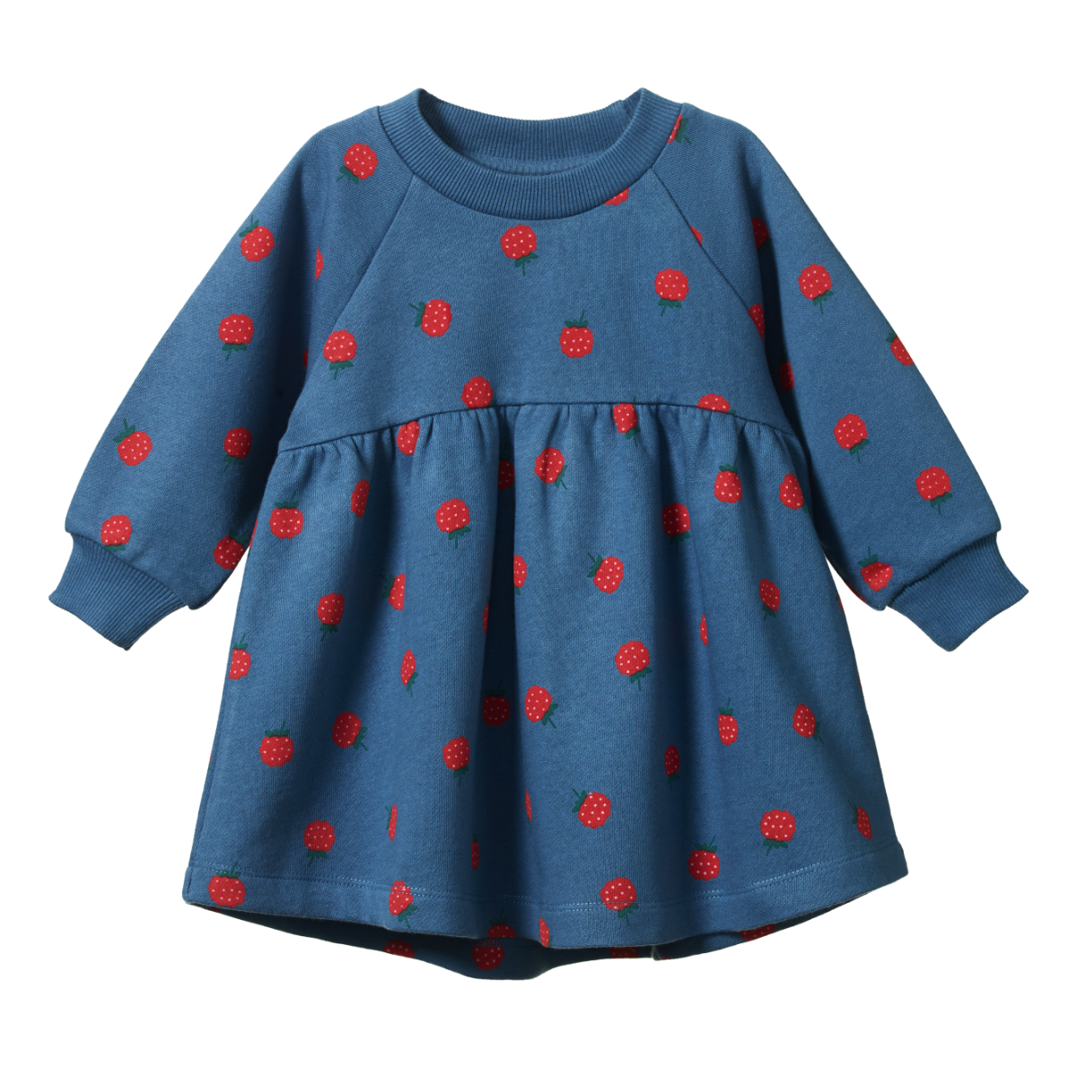 Blue dress with red berry pattern on a white background