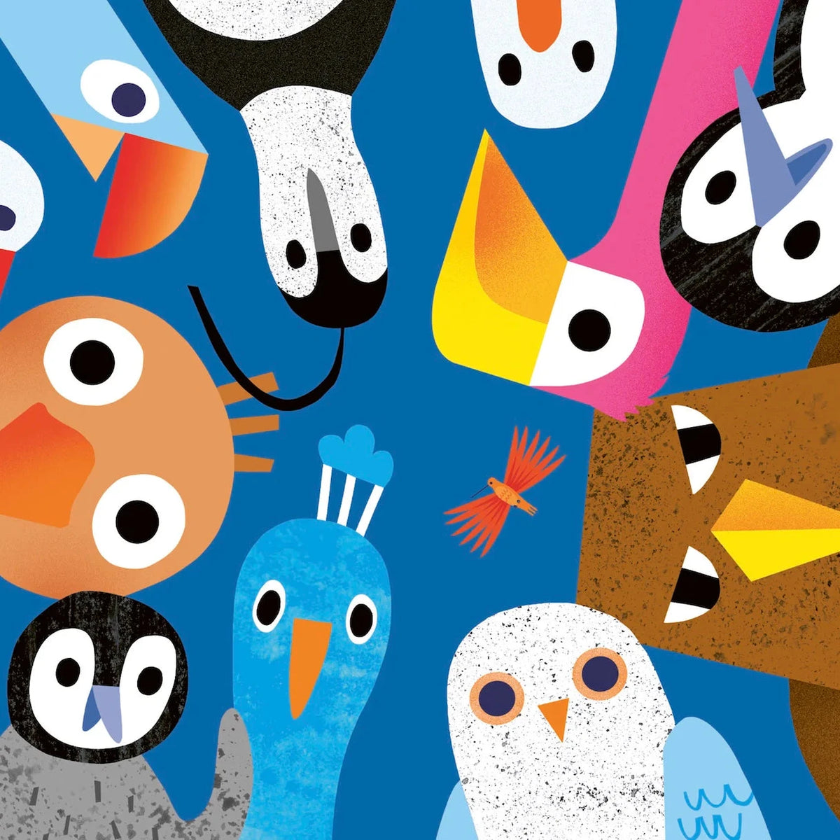 Colorful illustration of various birds on a blue background