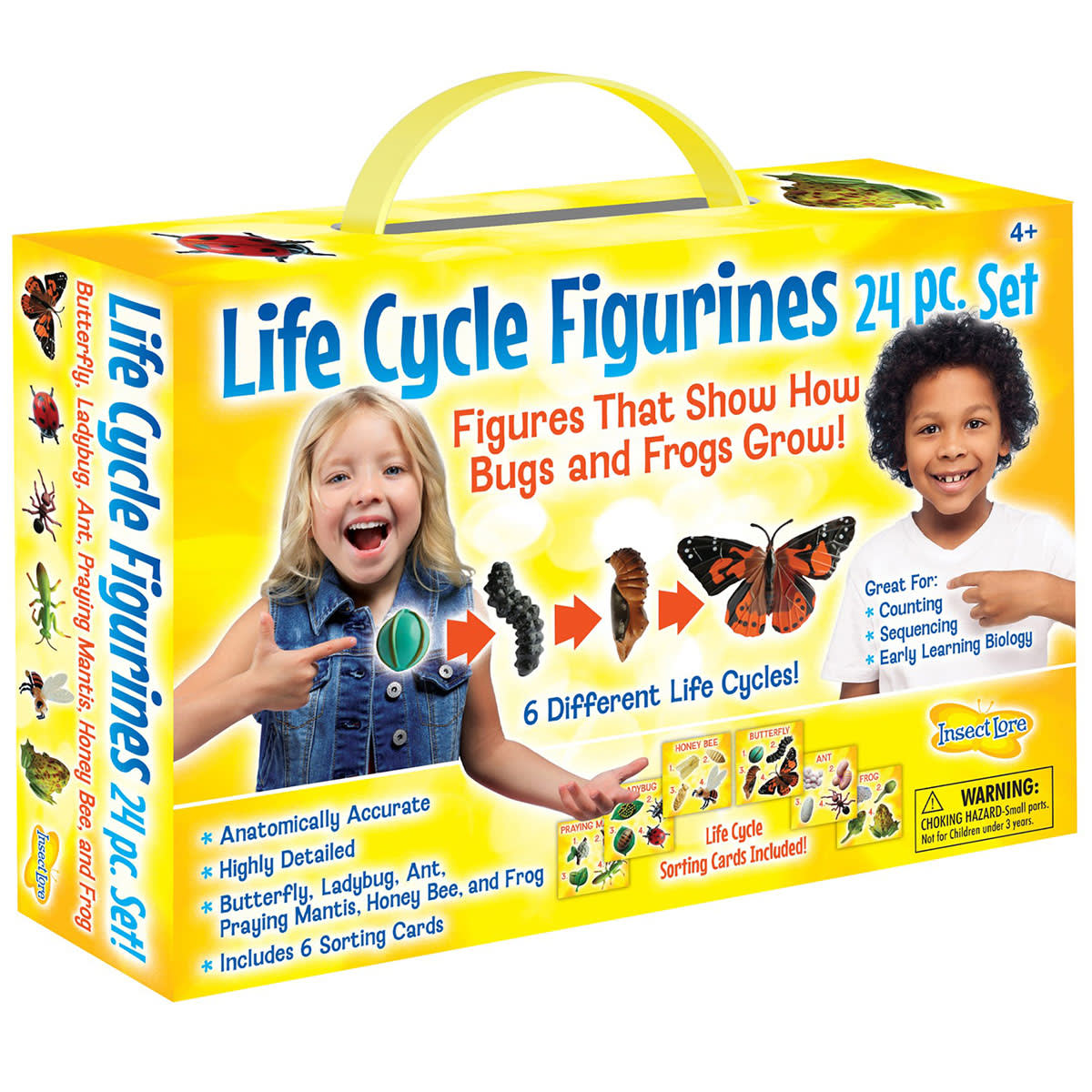 Life Cycle Figurines