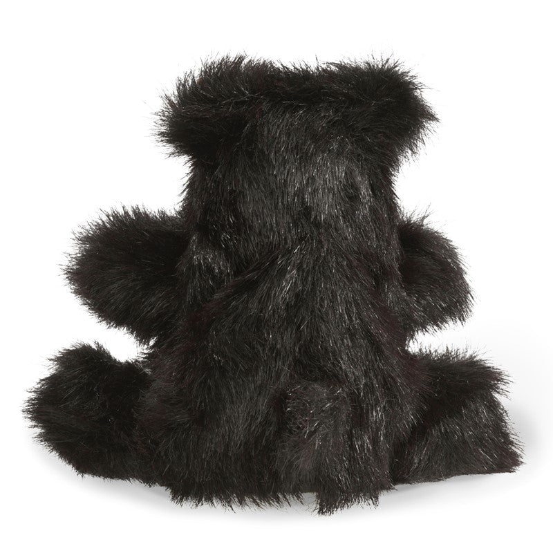 Baby Black Bear