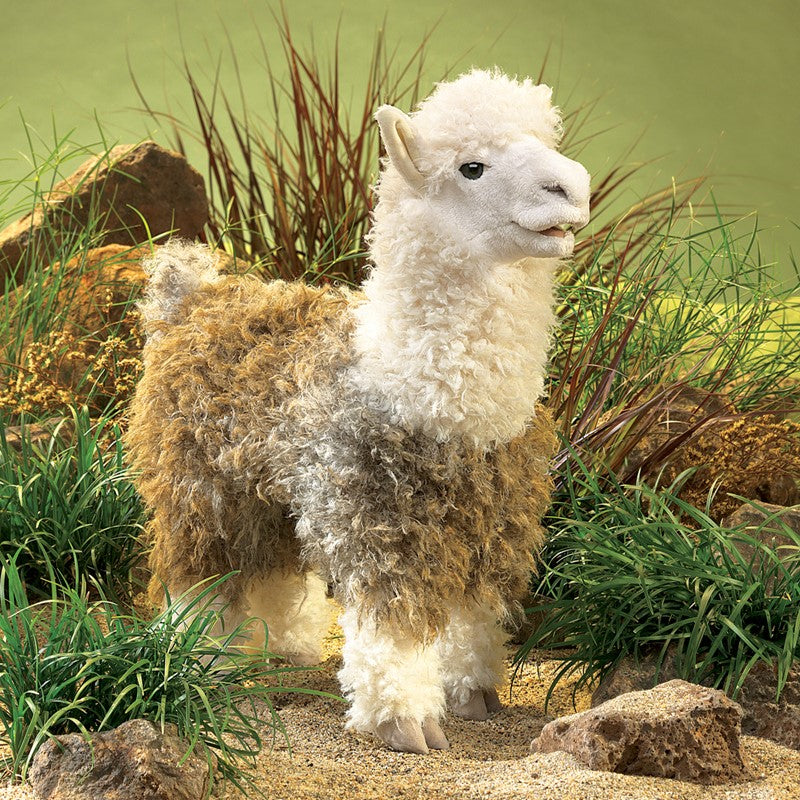 Alpaca