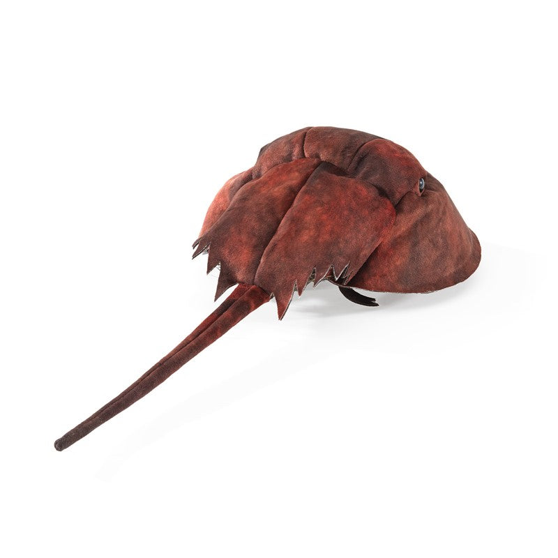 Horseshoe Crab