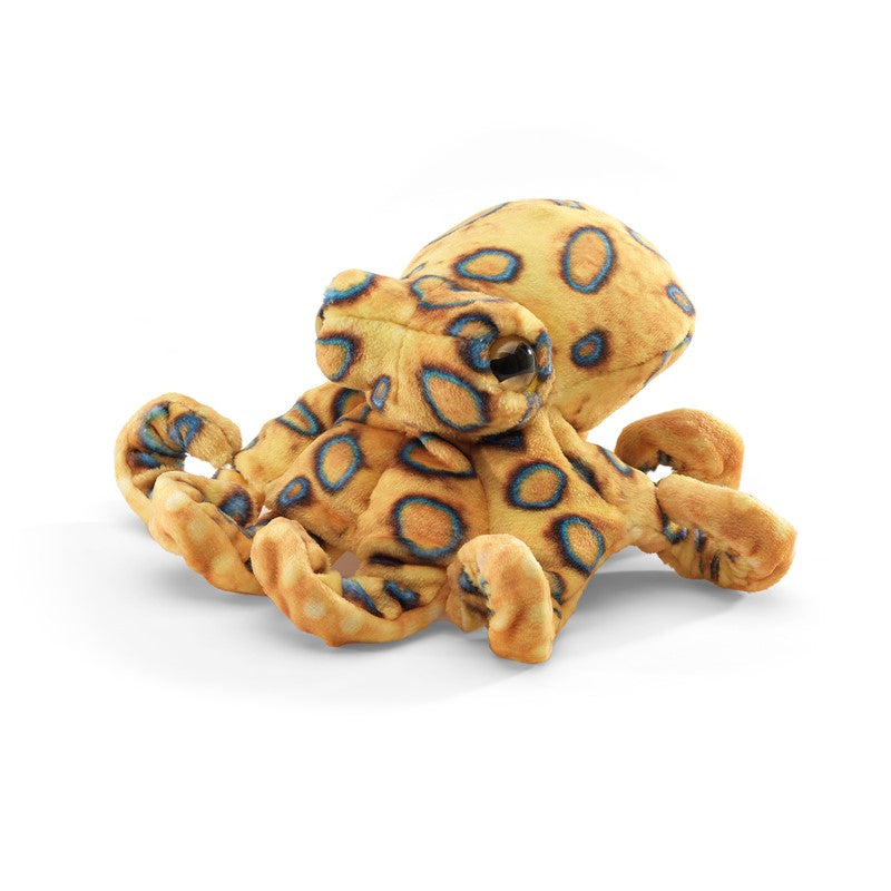 Mini Blue Ringed Octopus