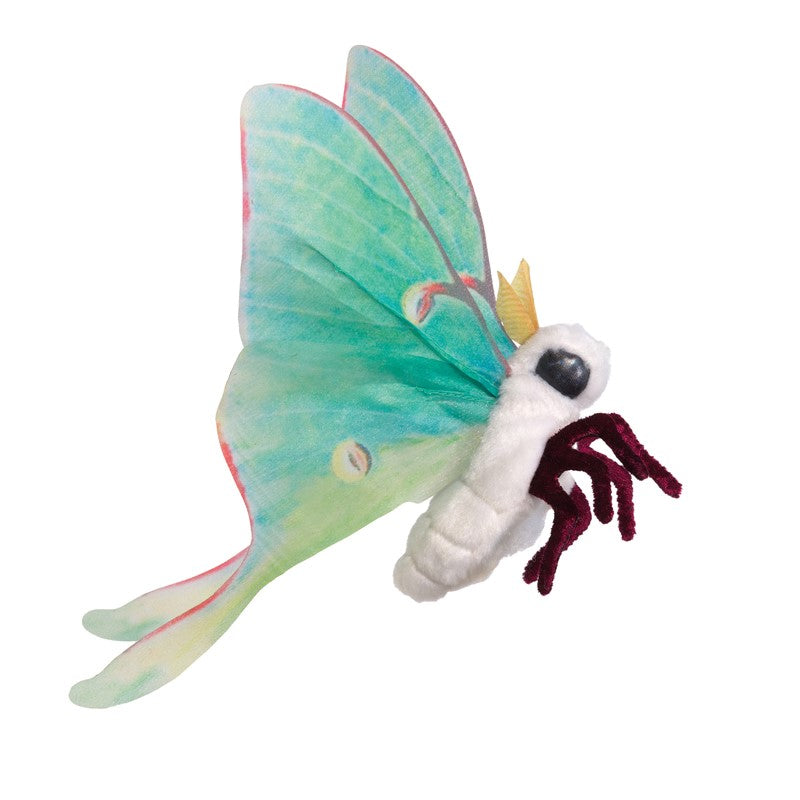 Mini Lula Moth