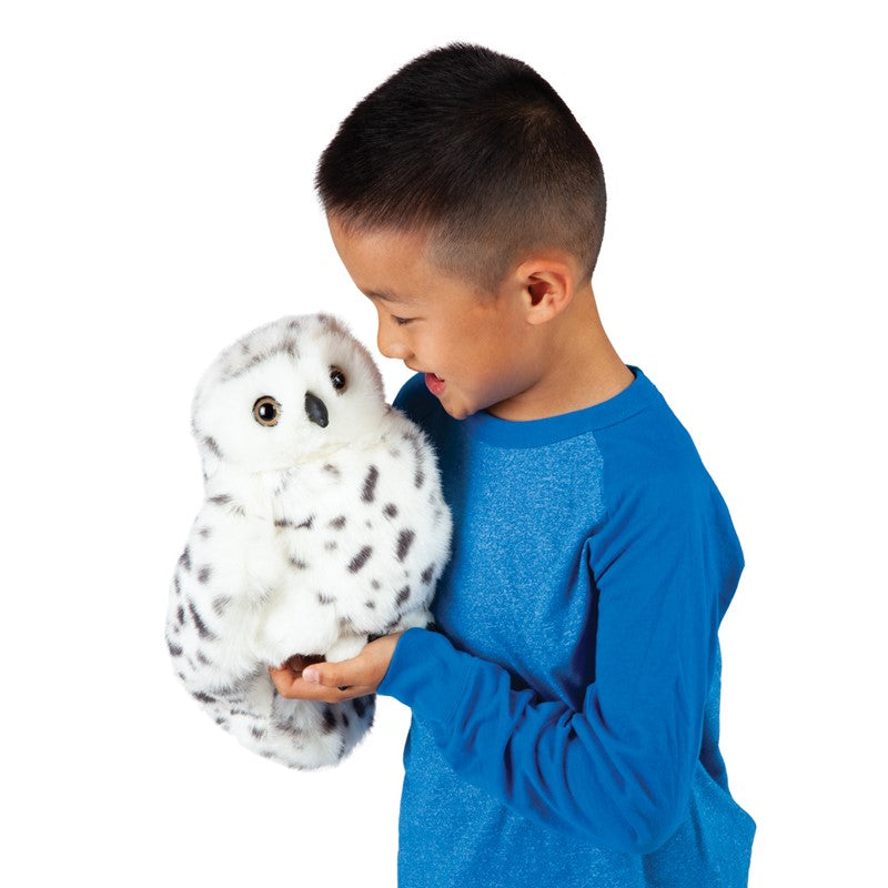 Snowy Owl