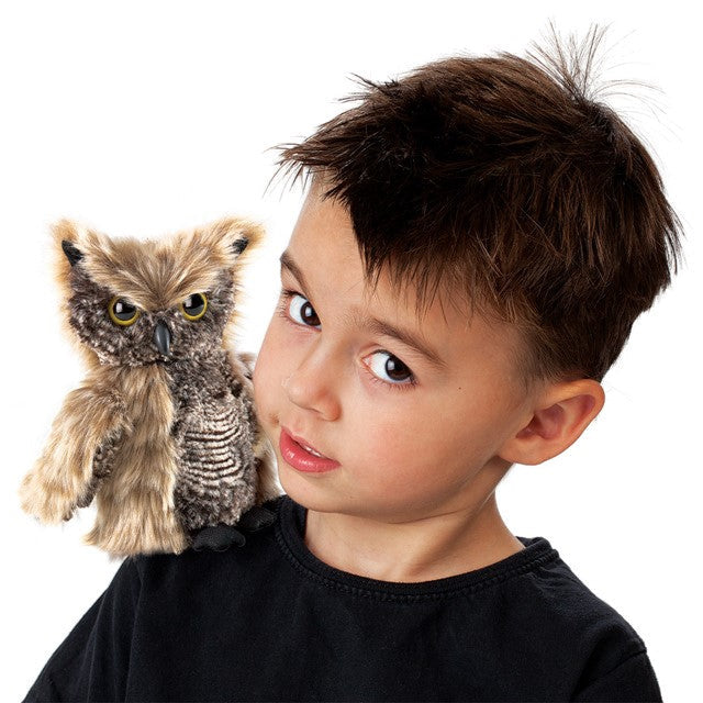 Screech owl