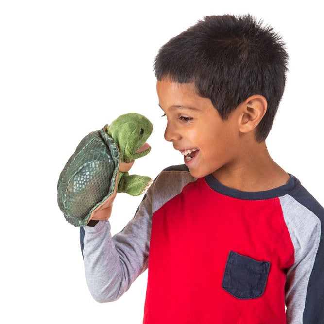 Little Turtle