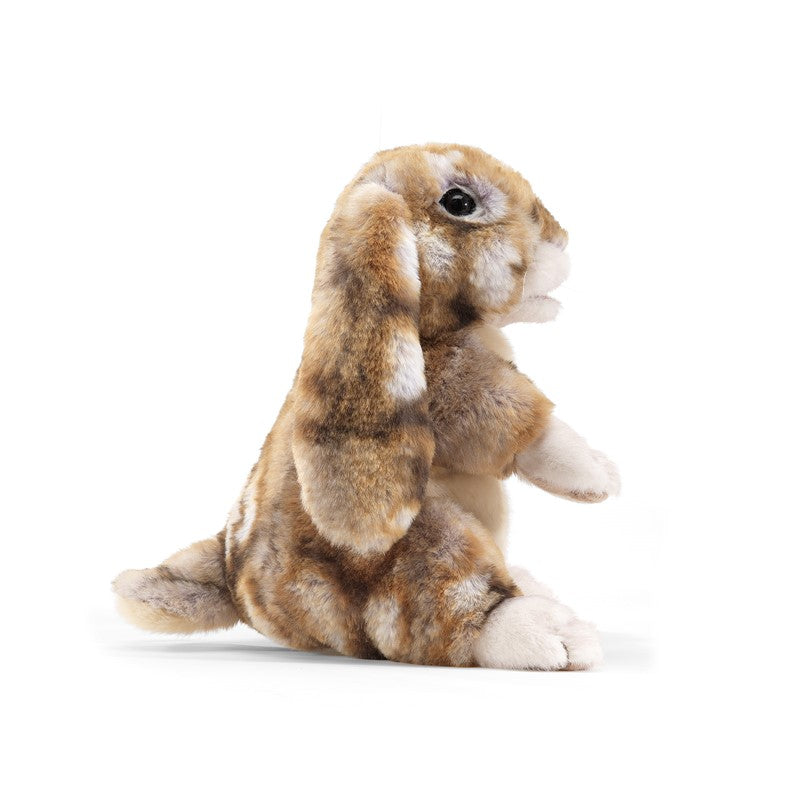 Silky Bunny Rabbit