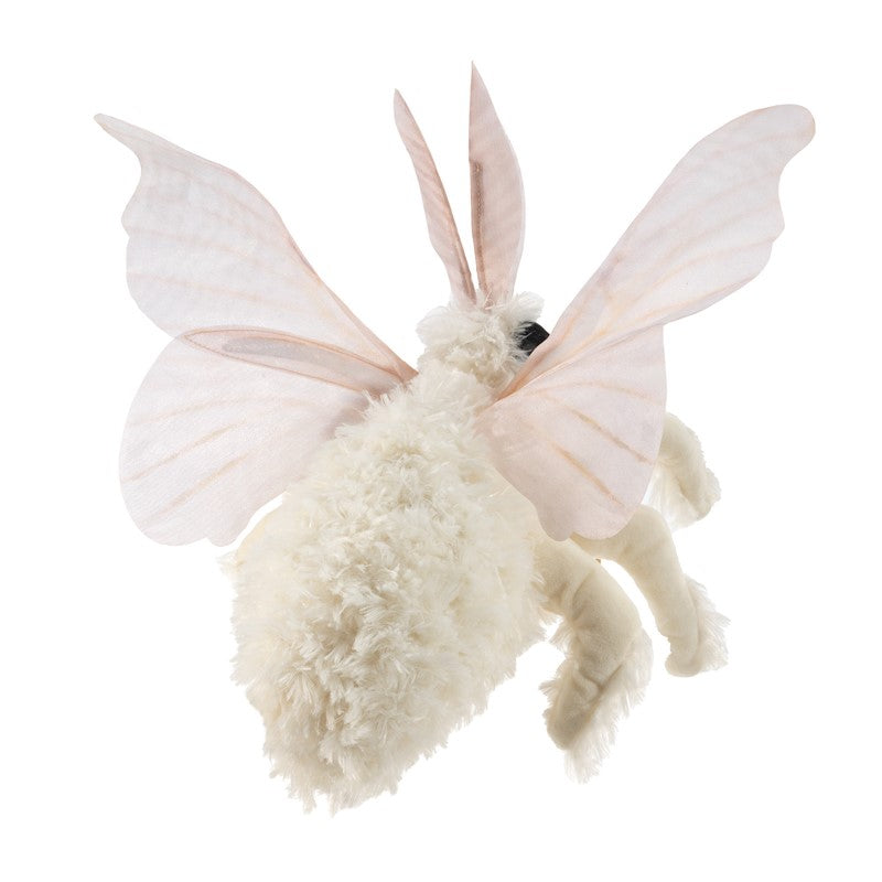 Poodle Moth