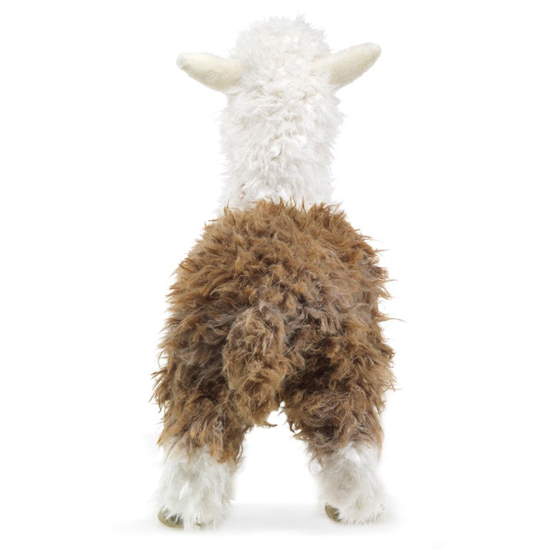 Alpaca